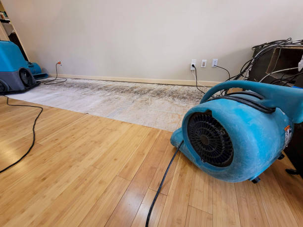 Professional Water Extraction technician working in South Range, WI